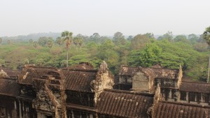 Angkor Wat in de jungle