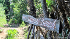 Jungle Beach Unawatuna Sri Lanka