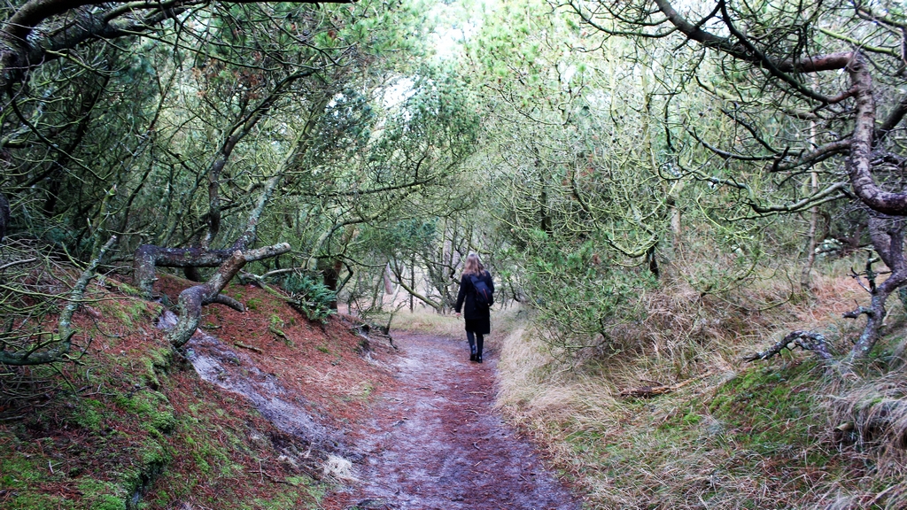 Wandelen door het bos op Vlieland
