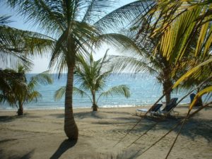 Strand en palmbomen Curaçao
