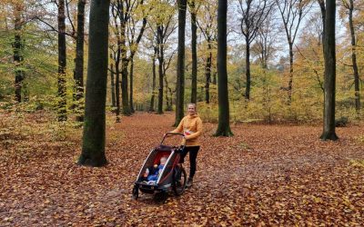 Trekvogelpad etappe 15: Ede tot Otterlo