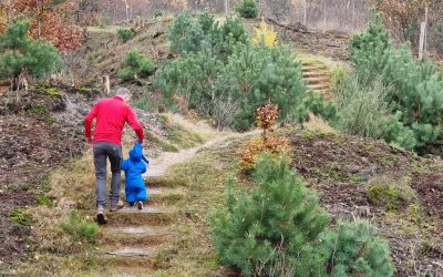 Trekvogelpad etappe 16: Otterlo tot Hoenderloo