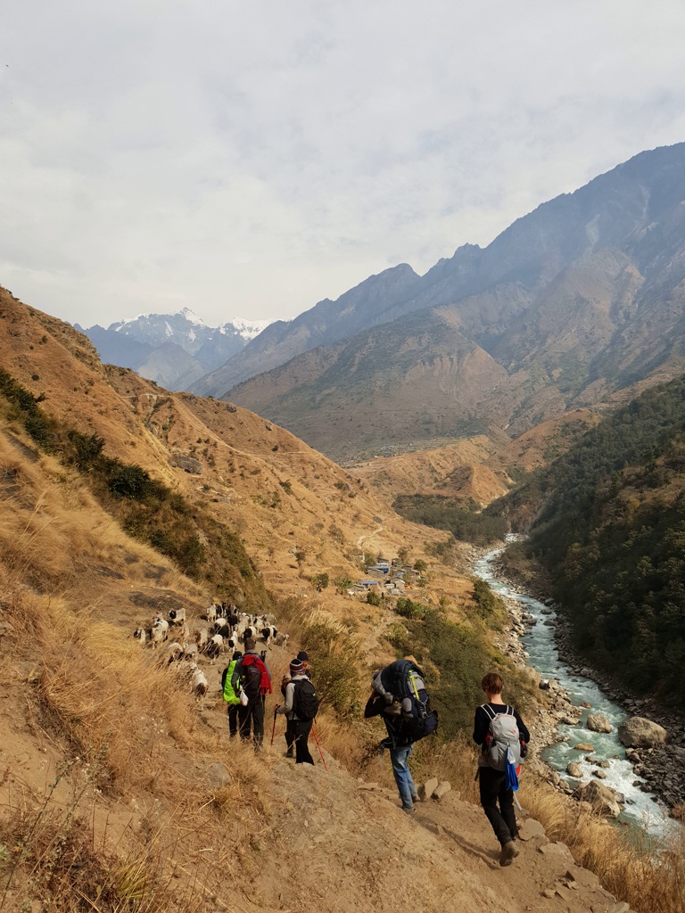Wandelen in Nepal Manaslu en Tsum Valley trekking