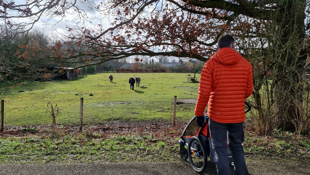 Trekvogelpad etappe 18 Loenen tot Vorden (Wichmond) ezels