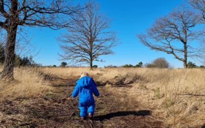 Trekvogelpad etappe 22: Buurserzand tot Enschede