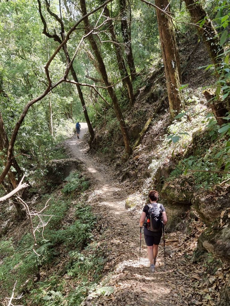 Langtang Circuit trekking dag 2, Syabru Bensi tot Lama Hotel, bossen