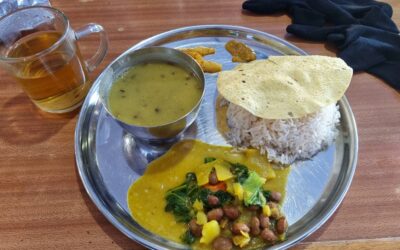 Annapurna Base Camp trekking dag 5: Himalaya naar MBC