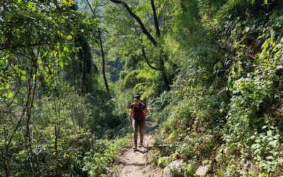 Annapurna Base Camp trekking dag 3: Tolka naar Chhomrong