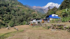 Annapurna Base Camp trekking dag 3, Tolka naar Chhomrong, prachtig huisje