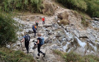 Annapurna Base Camp trekking dag 4: Chhomrong naar Himalaya