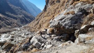 Annapurna Base Camp trekking dag 5, Himalaya naar MBC, wandelpaden