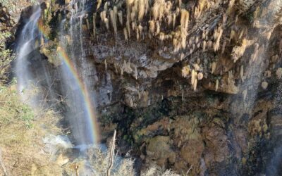 Annapurna Base Camp trekking dag 7: Annapurna Base Camp naar Bamboo