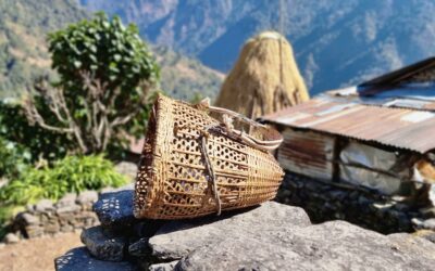 Annapurna Base Camp trekking dag 8: Bamboo naar Jhinu Danda