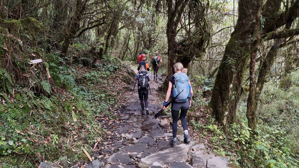 Annapurna Base Camp trekking, wandelen door mooie bossen
