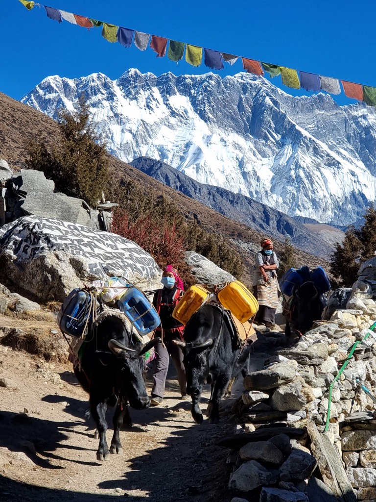 Everest Base Camp via Gokyo Lakes bergtrekking Nepal, lokaal leven