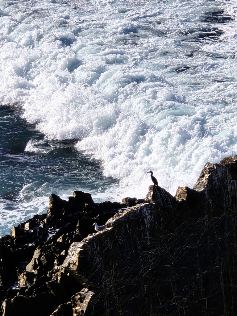 Fisherman's Trail etappe 4, Almograve naar Zumbujeira do Mar, woeste zee