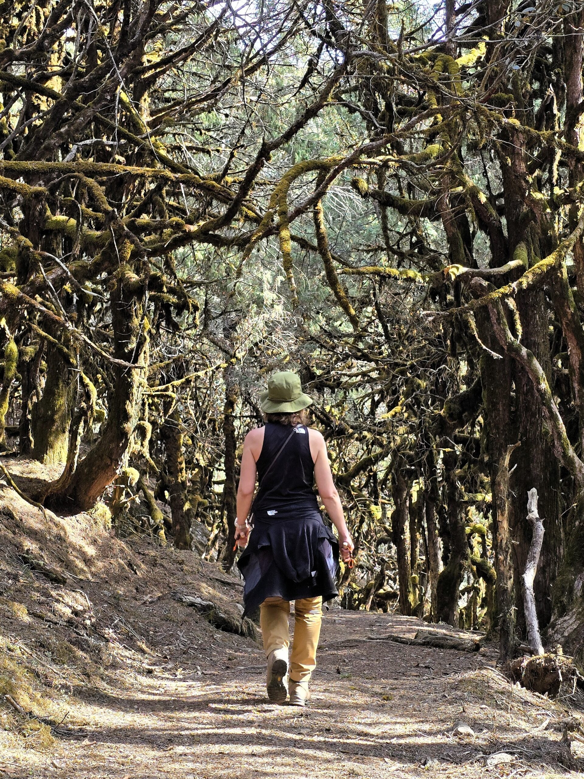 Tamang Heritage Trail bergtrekking, bossen