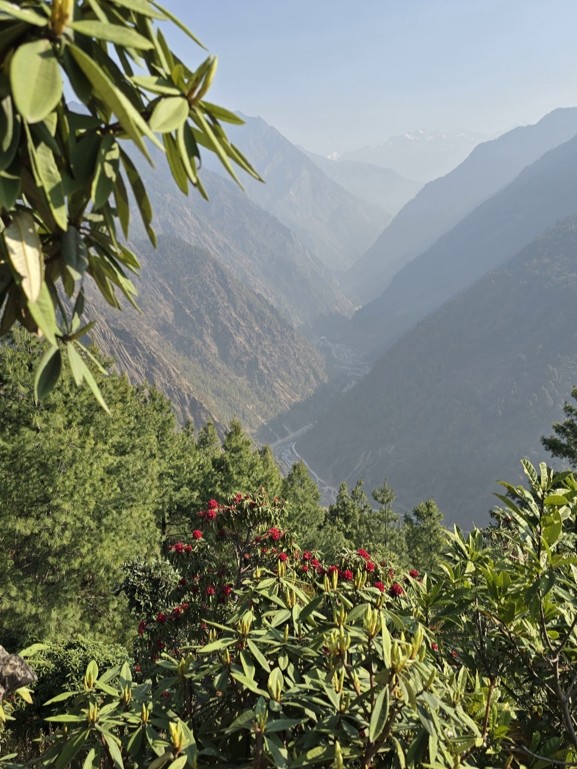 Tamang Heritage Trail trektocht, vallei met Timure