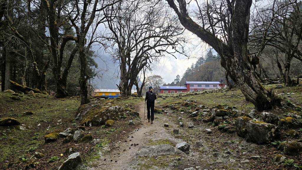 Manaslu Circuit dag 10, Bhimtang naar Chauli Kharka