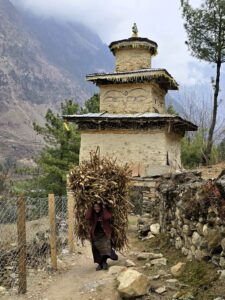 Manaslu Circuit dag 5, Ghap naar Lho, dame takken dragen
