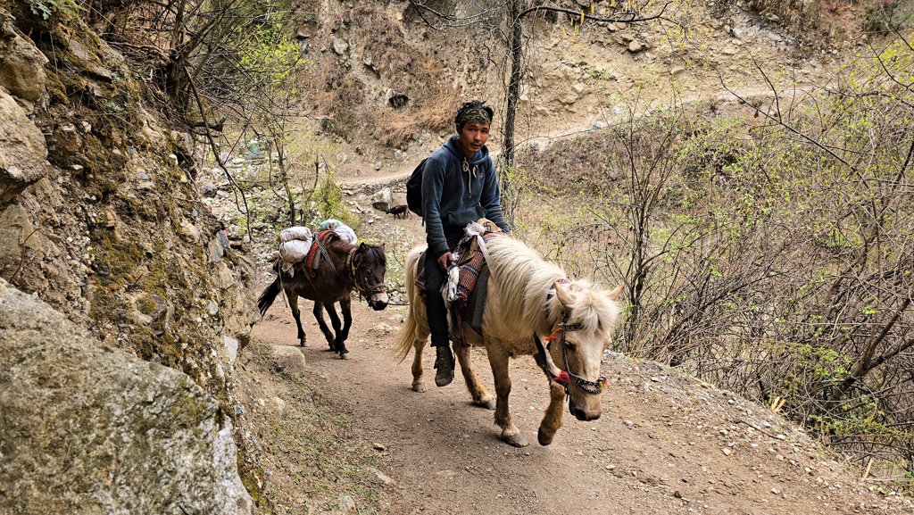 Manaslu Circuit dag 5, Ghap naar Lho, lokale jongen paardrijden