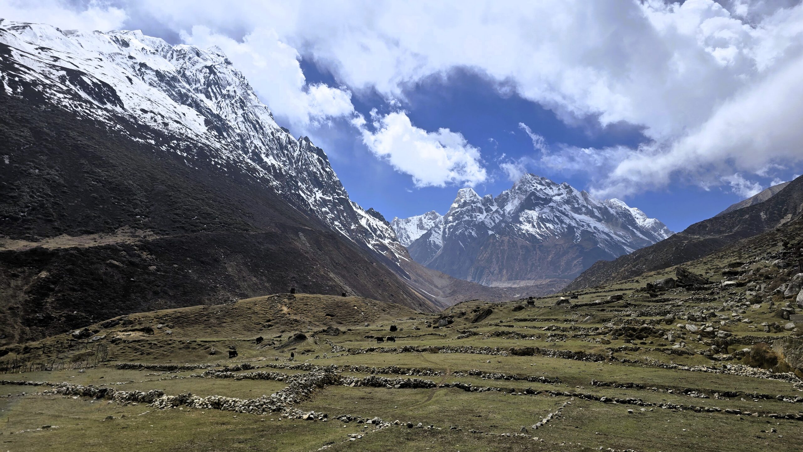 Manaslu Circuit trekking dag 7, Shyala naar Larkya Bazar