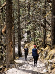Wandelen bos Nepal bergtocht