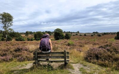 Sallandse Toppentocht: wandelen over de Sallandse Heuvelrug