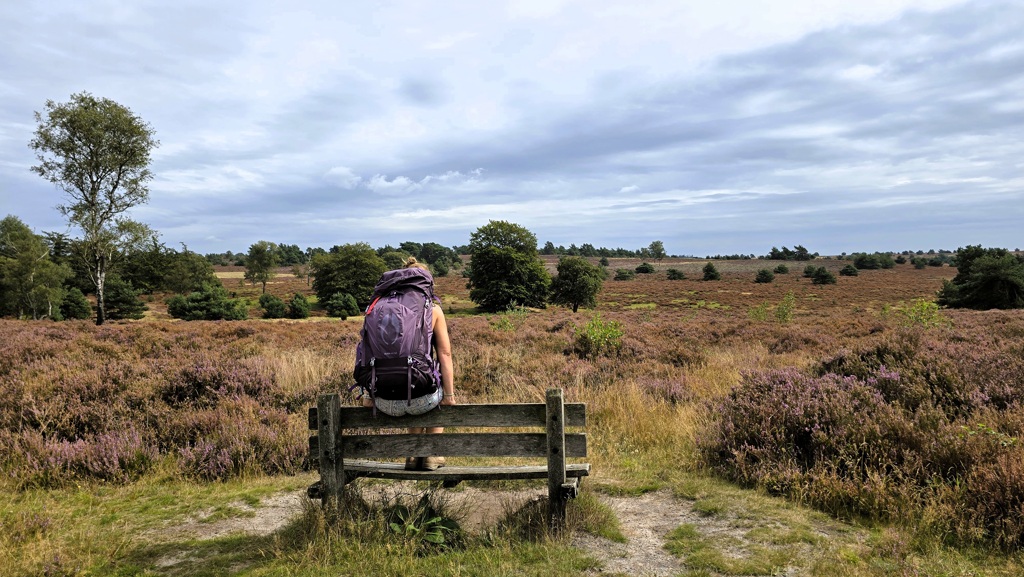 Sallandse Toppentocht, wandelen over de Sallandse Heuvelrug