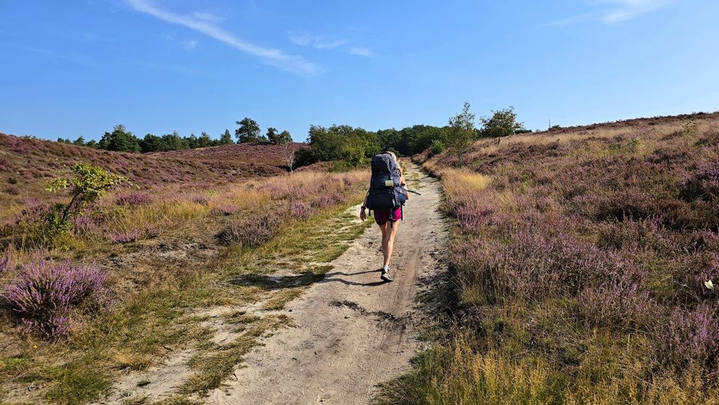 Sallandse Toppentocht wandelen over heide