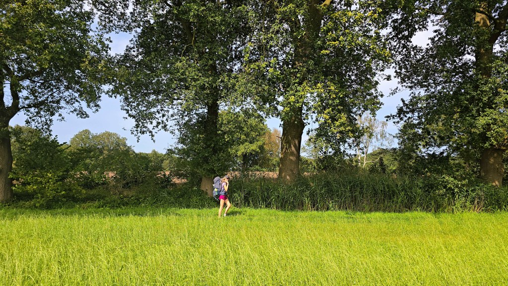 Sallandse Toppentocht wandelen, weiland