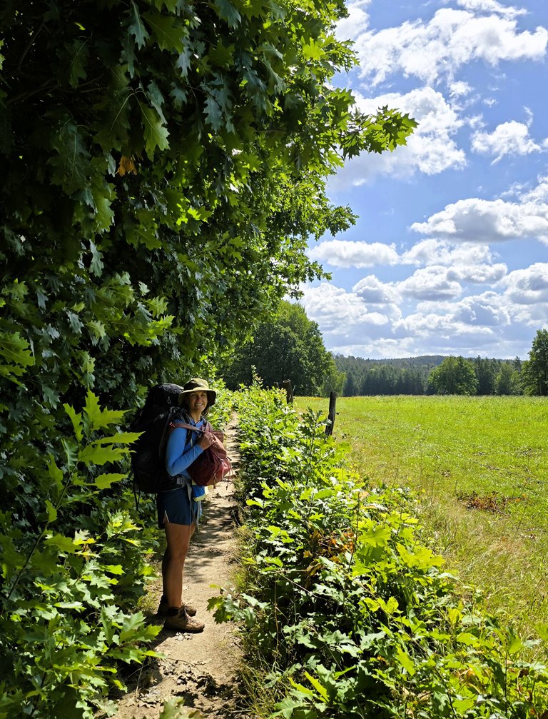 Malerweg etappe 1, Pirna Liebethal naar Stadt Wehlen, prachtige route