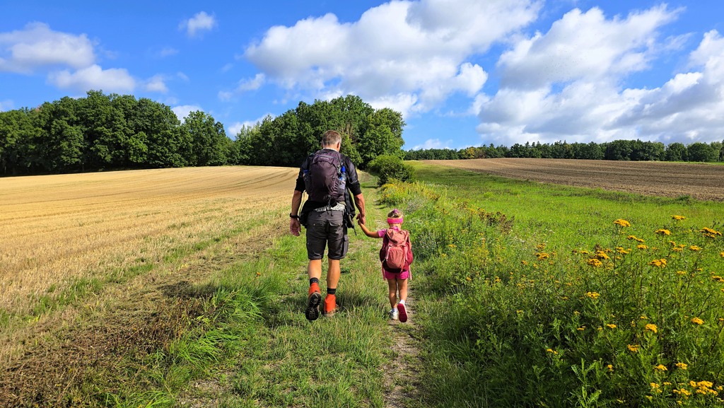 Malerweg etappe 1, Pirna Liebethal naar Stadt Wehlen