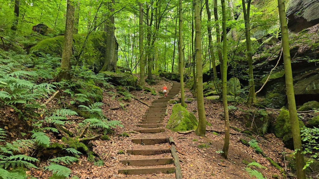 Malerweg etappe 3, Hohnstein naar Altendorf, trappen omhoog