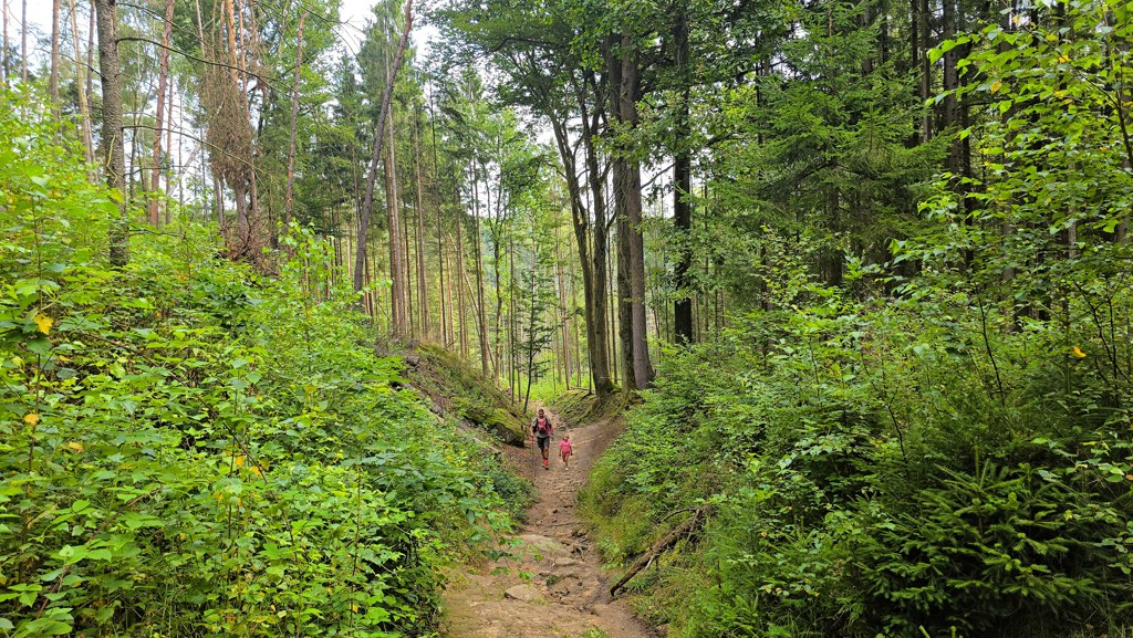 Malerweg etappe 4, Altendorf naar Neumannmühle, klimmen