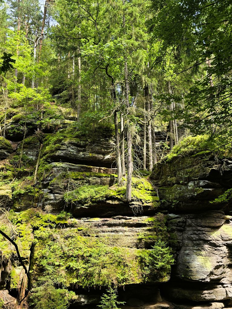 Stadt Wehlen Malerweg Duitsland