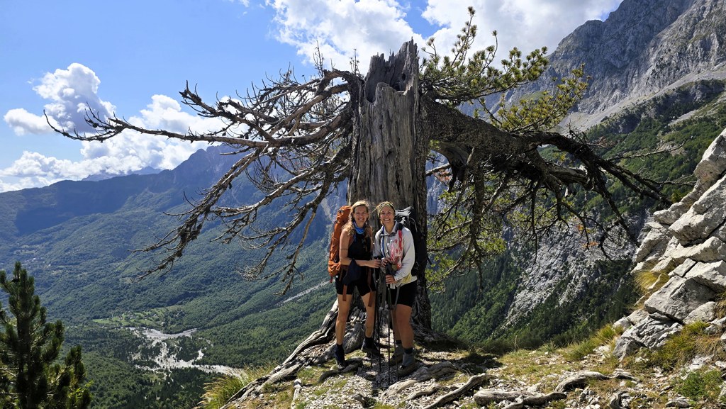 Balkan Trail etappe 10, Vusanje naar Theth, boom