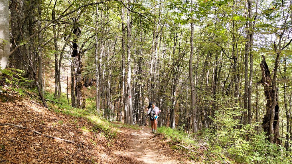 Balkan Trail etappe 9, Plav naar Vusanje, bospaden