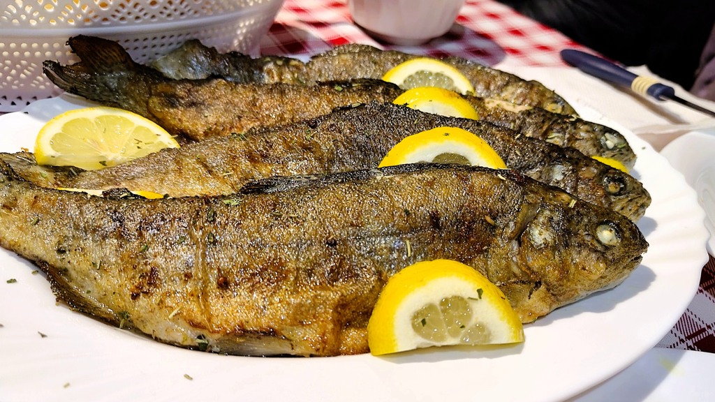 Balkan Trail etappe 9, Plav naar Vusanje, vis diner