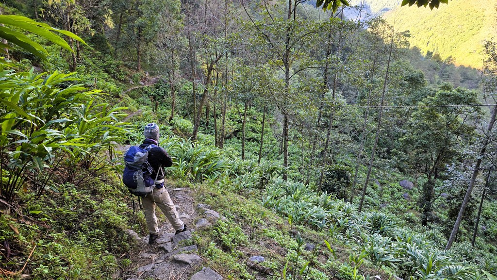 Kanchenjunga Base Camp trekking dag 17, Kengsra naar Taplejung via Zero Point, Kardemom