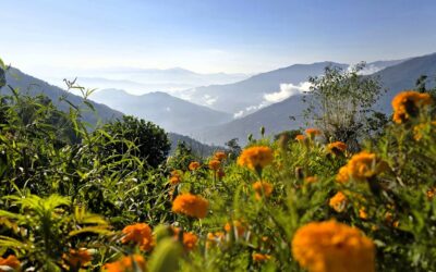 Kanchenjunga Base Camp trekking dag 2: Ilam naar Sekathum