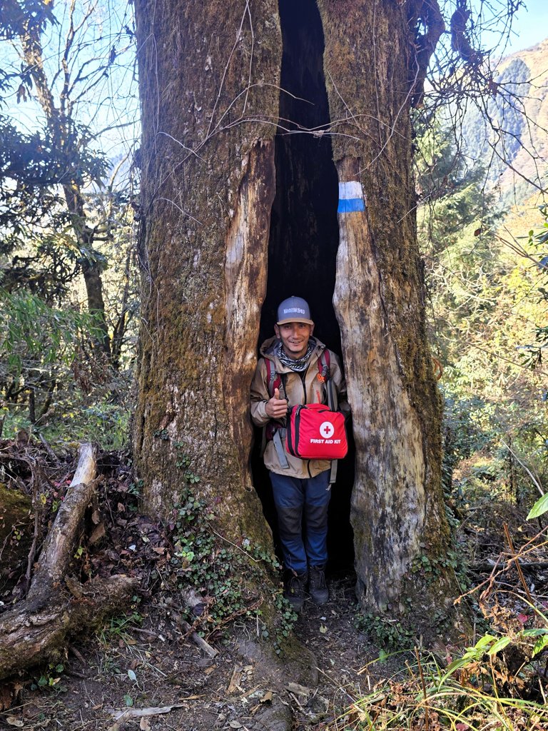 Grote boom Nepal