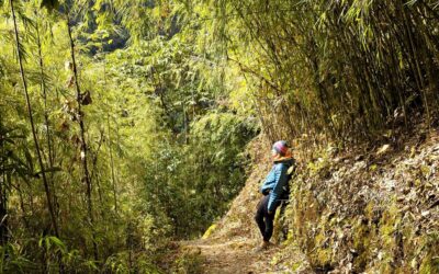 Kanchenjunga Base Camp trekking dag 16: Tortong naar Kengsra
