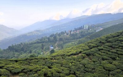 Kanchenjunga Base Camp trekking dag 18: Taplejung naar Kanyam