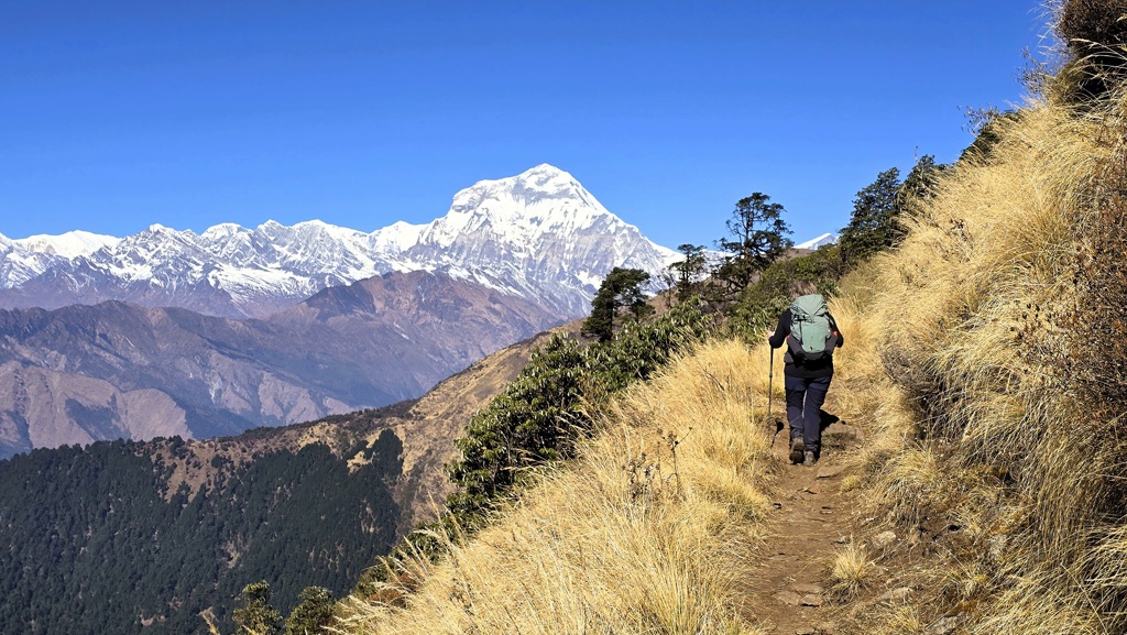 Khopra Ridge trekking dag 4, Dobato naar Chistibung, Dhaulagiri