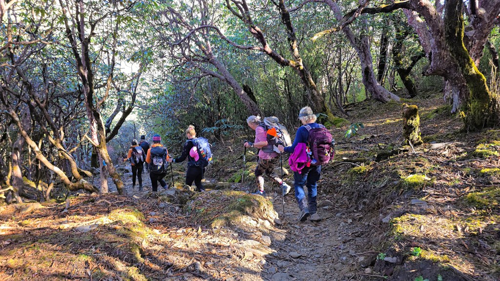 Khopra Ridge trekking dag 4, Dobato naar Chistibung, wandelen yogatrekking Nepal
