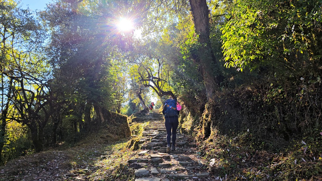 Khopra Ridge trekking dag 8, Swata naar Ghorepani, zon door bomen Jetske