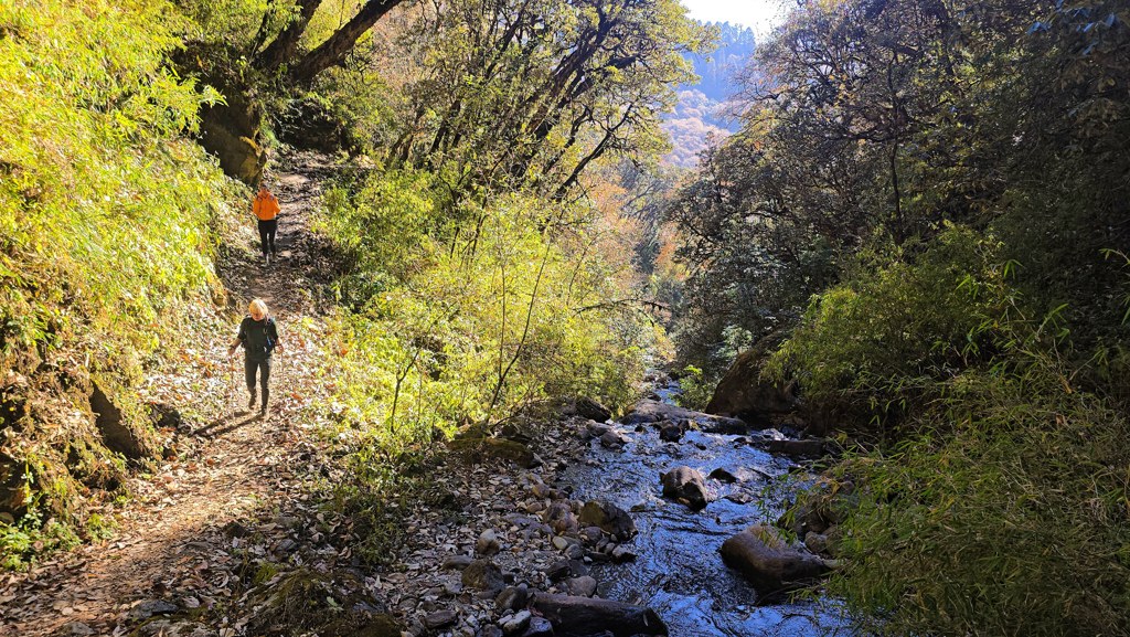 Khopra Ridge trekking dag 4, Dobato naar Chistibung, wandelreis