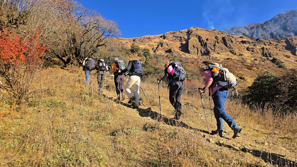 Khopra Ridge trekking dag 5, Chistibung naar Khopra Danda, wandeltrein omhoog