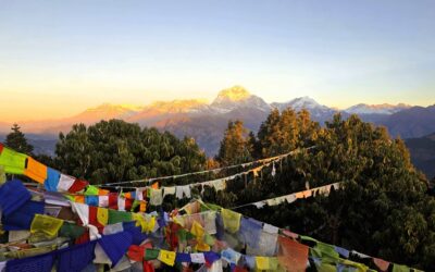 Khopra Ridge trekking dag 9: Ghorepani naar Pokhara